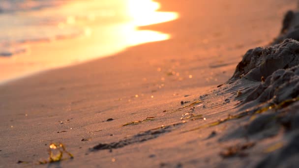 Onde sulla spiaggia sabbiosa al tramonto . — Video Stock