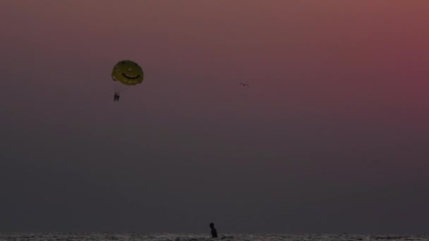 Fallschirm über dem Meer bei Sonnenuntergang — Stockvideo