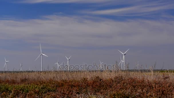 Energii Elektrycznej Wiatr Energia Alternatywne Źródła Energii Światło Nowoczesne Technologie — Wideo stockowe