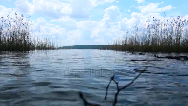Aan de oevers van lake — Stockvideo