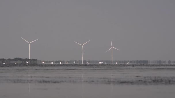 Ветрогенераторы на берегу озера — стоковое видео