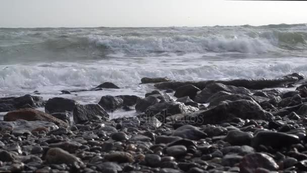 Хвилі на кам'яному морському березі — стокове відео