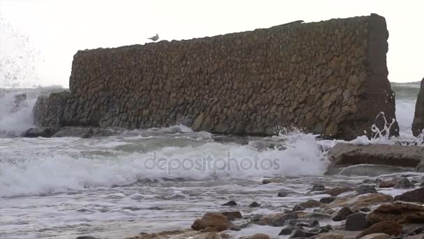 Atlantische golven in slow motion — Stockvideo