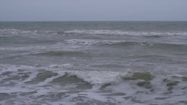 Storm på havet kusten — Stockvideo