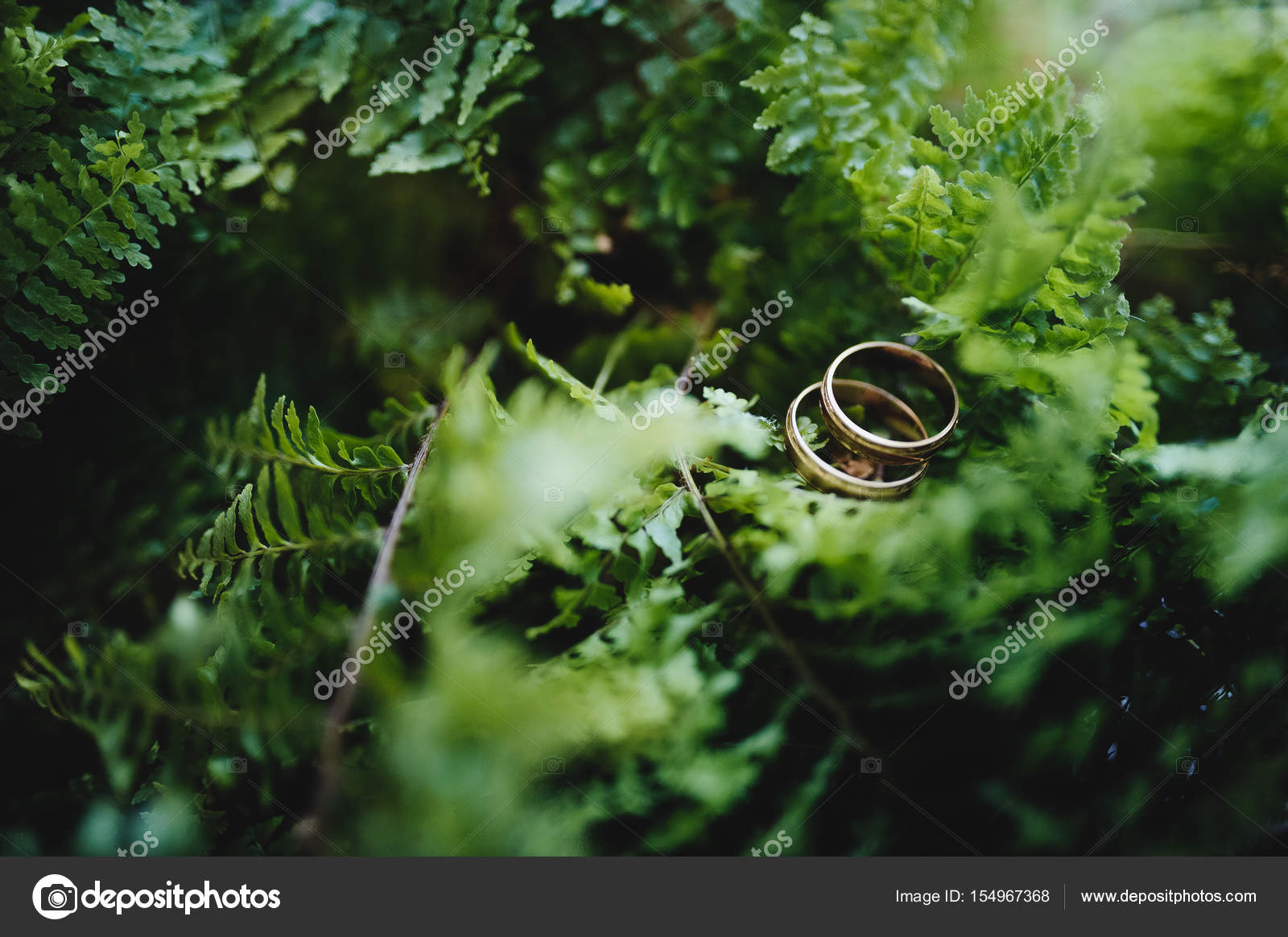 Wedding rings on wooden green leaf background Stock Photo by ©stebel  154967368