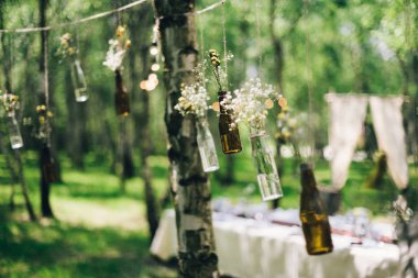 Şişeler çiçek, orman ağaçlarında dekorasyon, düğün tablo ormanda. Ormanın içinde romantik akşam yemeği