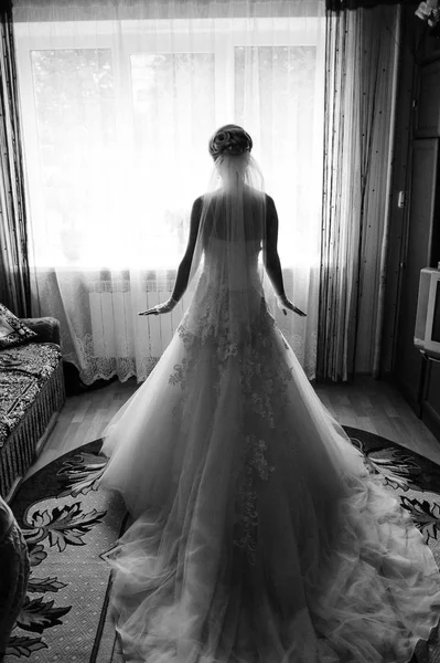 Lujo elegante novia morena cerca de una ventana en el fondo de la habitación vintage — Foto de Stock