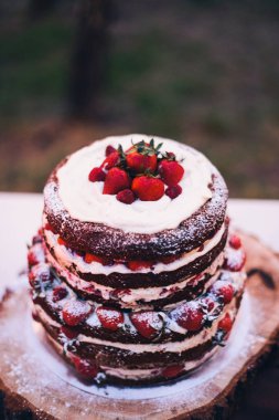 kek, bezemeli bir arka plan doğa ormanda parti