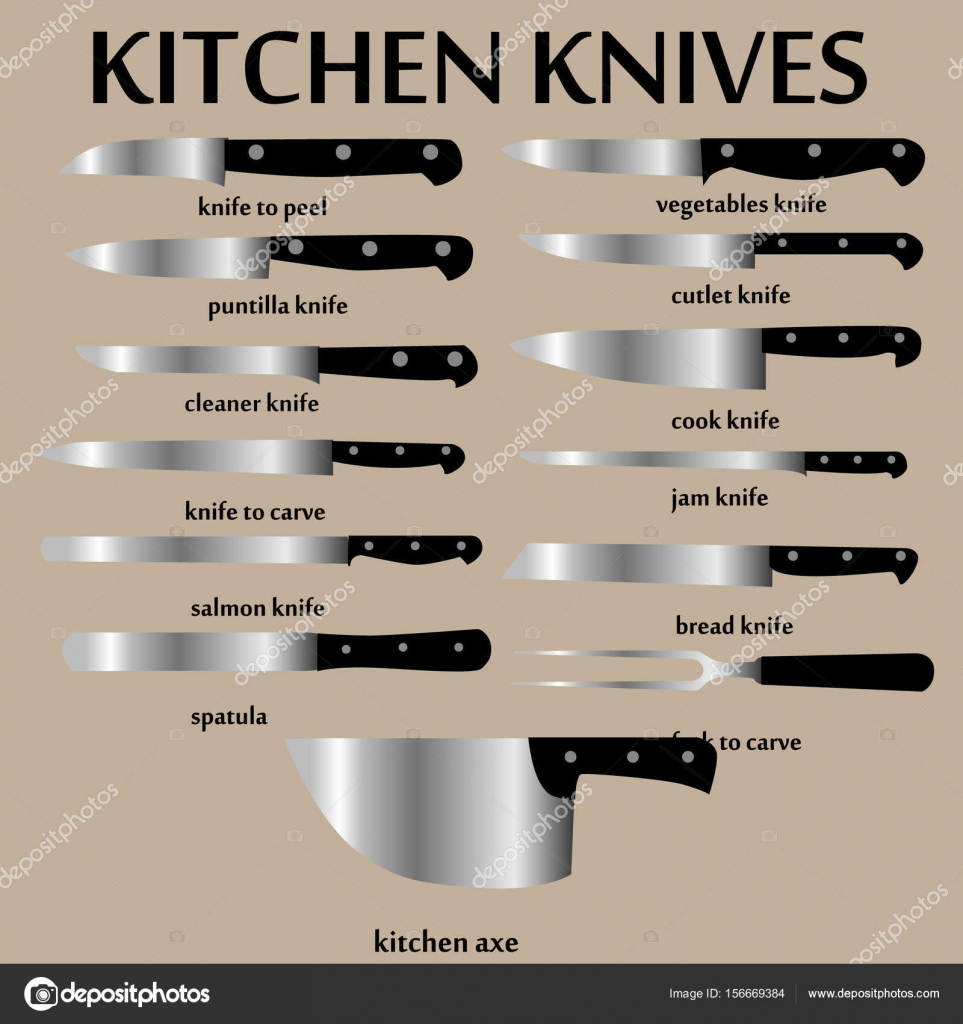 Cutting knives set. Poster Butcher diagram Stock Vector by