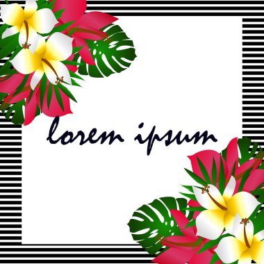 Egzotik tropik kenarlık çerçeve şablon