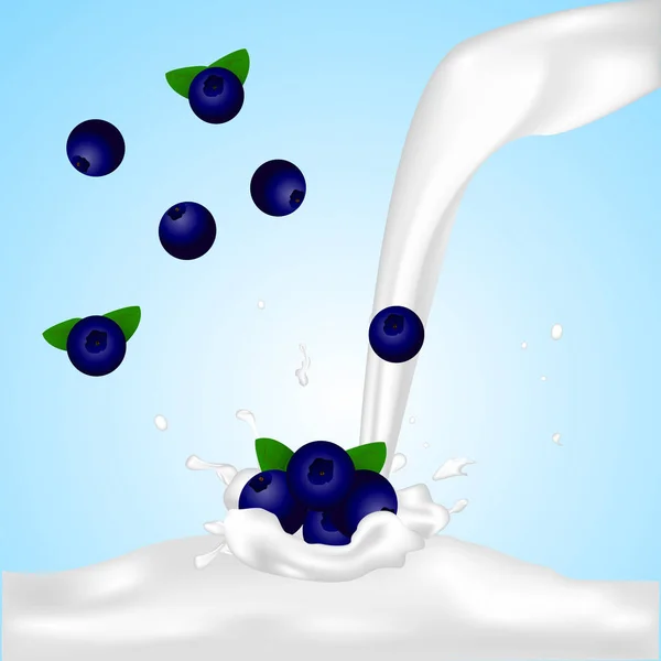 牛乳のスプラッシュのブルーベリー — ストックベクタ