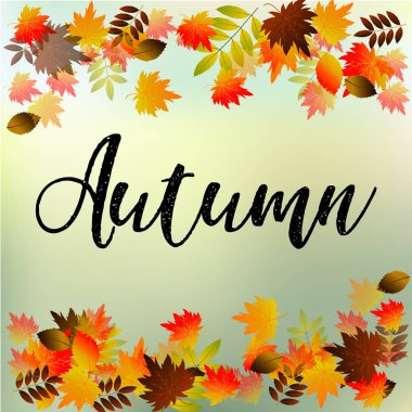 Sonbahar tipografik. Sonbahar yaprak. Vektör