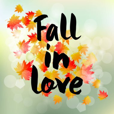 Vektör çizim akçaağaç yaprağı ve bir ifade ile aşık