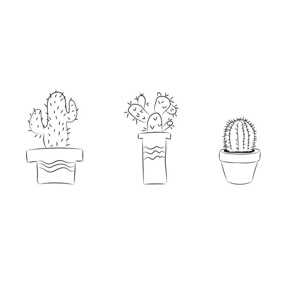 Cacto sobre um fundo branco. .. Cactus banner.mexico . —  Vetores de Stock