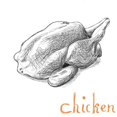 Elle çizilmiş tavuk çiftliği hayvan vektör