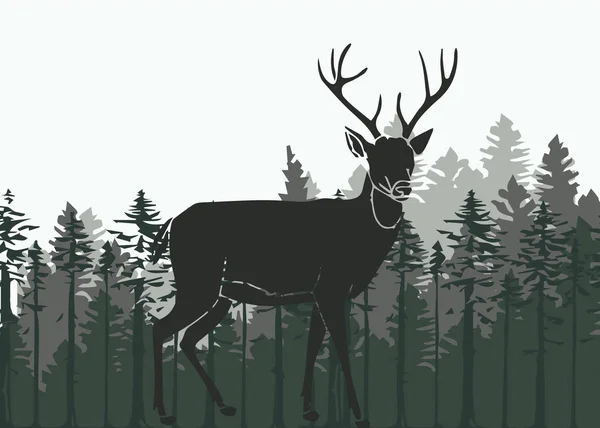 森の鹿 — ストックベクタ