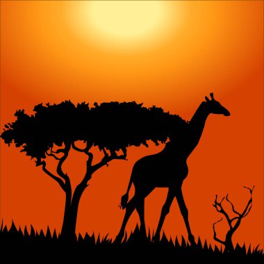 Afrika safari - vahşi hayvanların siluetleri