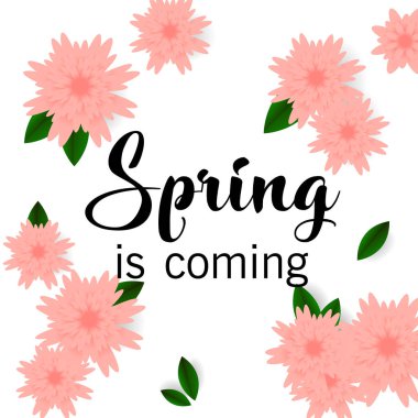 Merhaba Bahar, çiçek tebrik kartı, kağıt çiçekler. Gerçekçi kağıt çiçekler ile banner. Vektör çizim