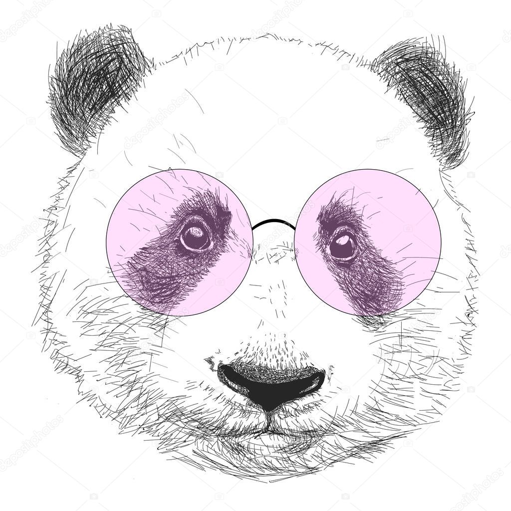 Hand drawn portrait of panda with sunglasses Vector isolated illustration