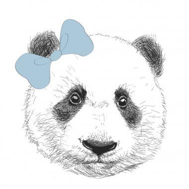 El vintage panda yay ile çekilmiş. İzole vektör