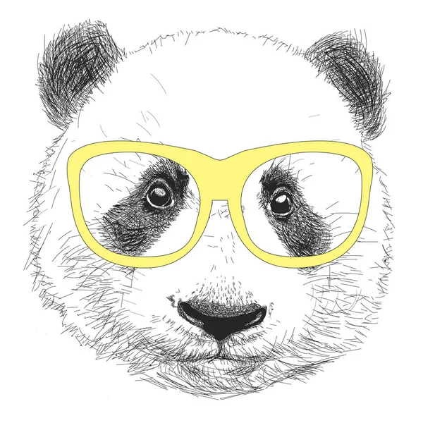 Panda güneş gözlüğü izole vektör çizim ile el çizilmiş portresi