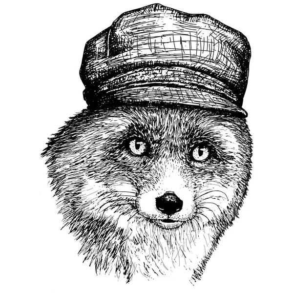 矢量狐狸在帽子和手被画的狐狸的例证. — 图库矢量图片