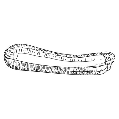 Kabak vektör çizim çizilmiş. izole kabak