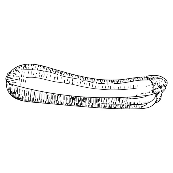 Zucchini gezeichnete Vektorillustration. Zucchini isoliert — Stockvektor