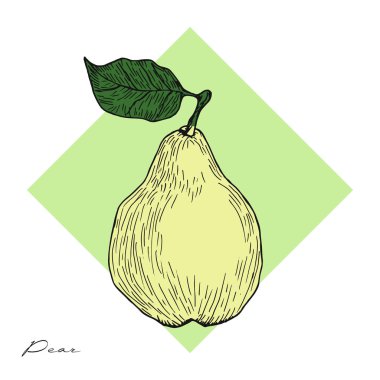 Şirin lezzetli armut. Elle çizilmiş vektör