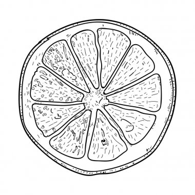 Olgun limon dilim beyaz bir arka plan üzerinde izole tohumları ile
