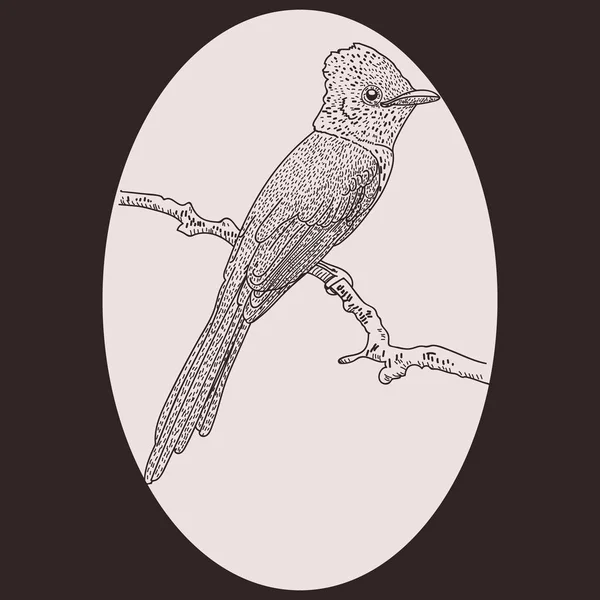Векторная иллюстрация птицы — стоковый вектор