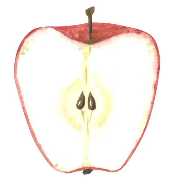 Coupe Pomme Rouge Illustration Aquarelle Dessinée Main — Photo