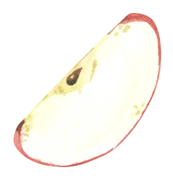 Kırmızı Elma Dilimi Elle Çizilmiş Suluboya Çizimi — Stok fotoğraf