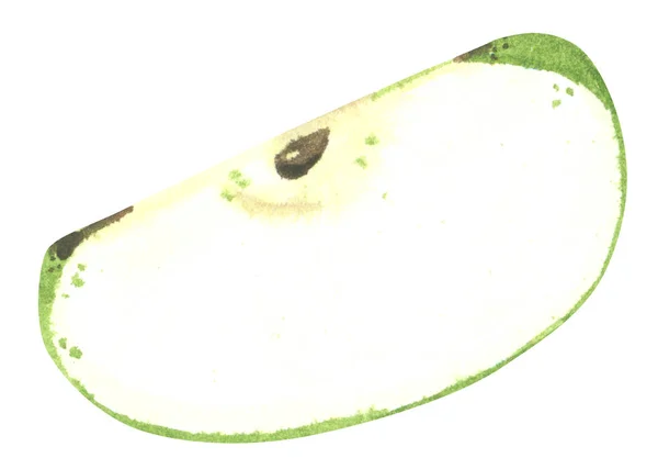 Green Apple Slice Hand Drawn Watercolor Illustration — Stock Photo, Image