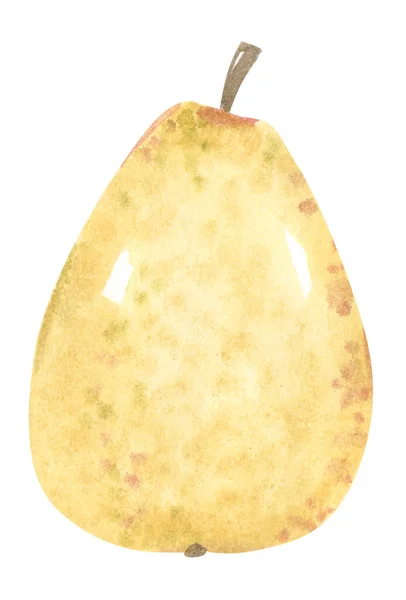 成熟的黄色梨子 手绘水彩画 — 图库照片