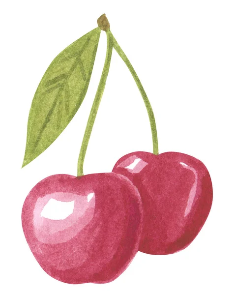 花园红甜樱桃 手绘植物水彩画 白色孤立 — 图库照片