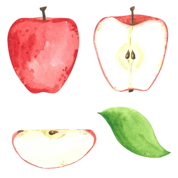 红苹果派集合 手绘水彩画 用白色 卡通风格隔离 — 图库照片