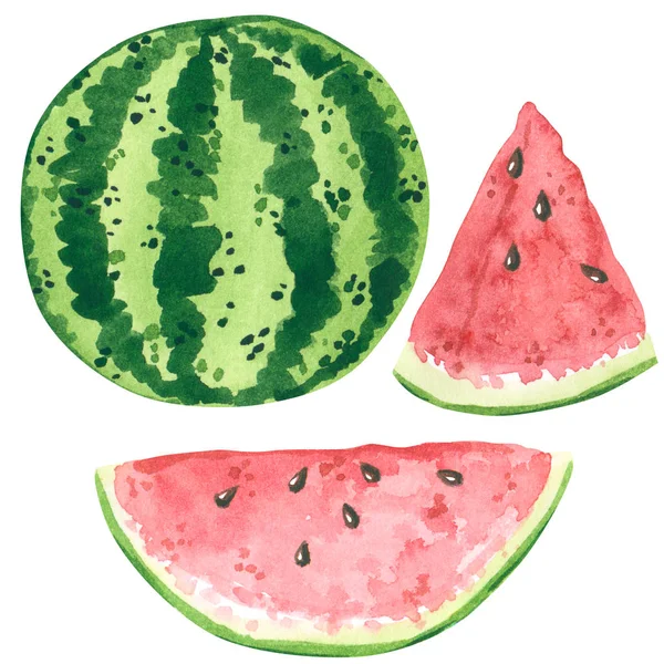 Watermelon Fruit Slices Set Hand Drawn Watercolor Illustration Isolated White — Stock Photo, Image