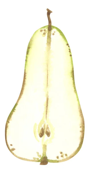 Ripe Green Brown Pear Slice Hand Drawn Watercolor Illustration — Stock Photo, Image