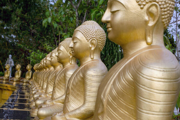 Golden statues of Buddha stand in a row one after another