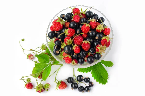 Yaz vitaminler - Siyah frenk üzümü ve yabani çilek çevrili bir cam fincan bırakır ve demet. İzole. Üstten Görünüm 