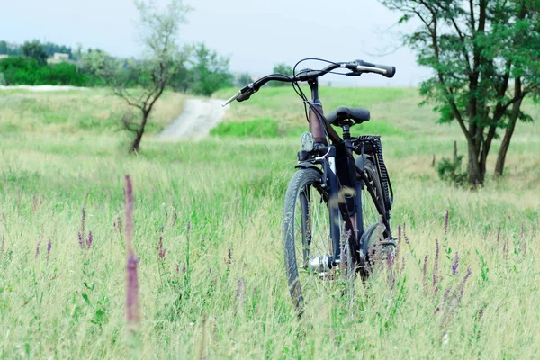 Bike in meadow grass and flowers. Rural landscape. — Stock Photo, Image