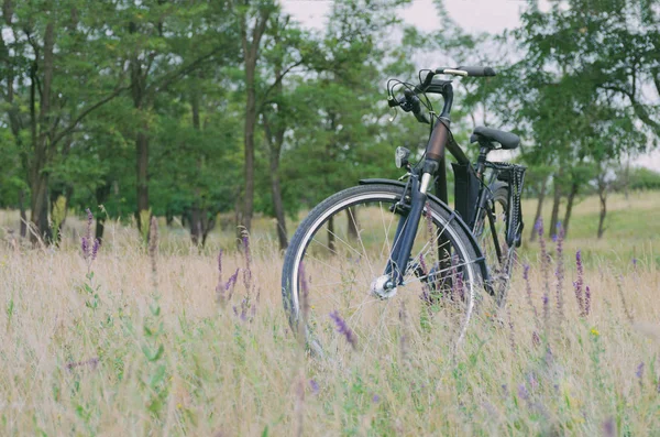 Un vélo se tient dans une prairie, dans une herbe haute avec des fleurs, dans les arbres de fond sont vus — Photo