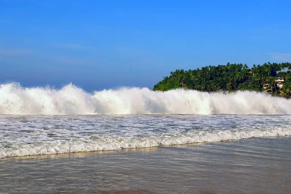 Burza wysokie fale na brzeg oceanu. Palmy na tle — Zdjęcie stockowe