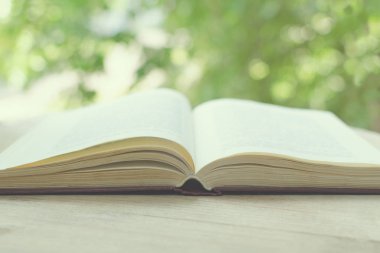 Yeşil ağaçlar ile açık bir pencerenin önünde açık kitap bulanık görüntü. Eğitim ve bilgi kavramı. 