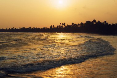 Uzun dalga, altın günbatımı tropikal okyanus kıyısında. Palmiye ağaçları ufukta silueti