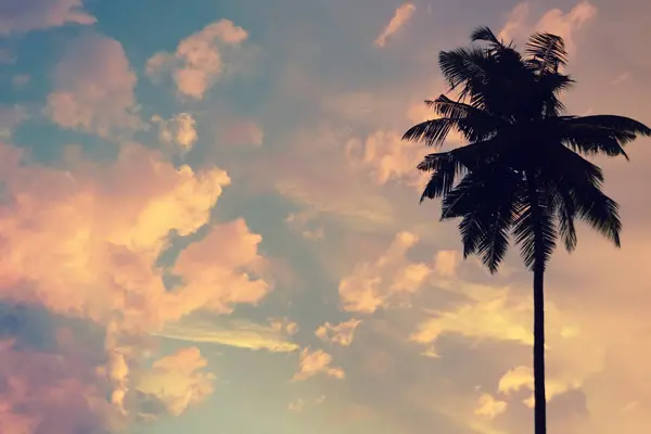 Закат фон с силуэтом пальмы в небе с большим количеством ярких облаков. Абстрактное небо. Копирование пространства — стоковое фото