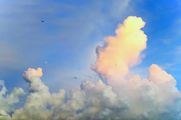 Nuages pittoresques dans le ciel, plusieurs silhouettes d'oiseaux — Photo