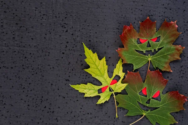 Výzdoba na Halloween - podzimní javorové listy s zlé tváře a červené oči. Černé pozadí. Kopírovat prostor — Stock fotografie