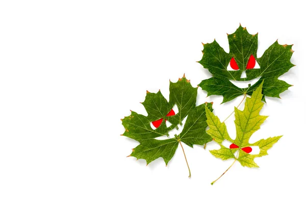 Fondo de vacaciones de Halloween - hojas de arce de otoño en forma de caras con ojos rojos. Fondo blanco. Lugar para el texto — Foto de Stock